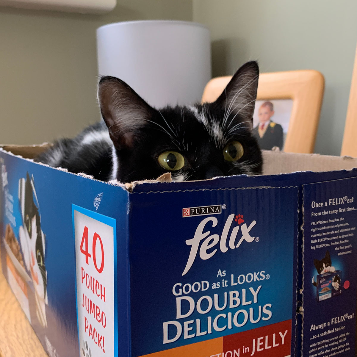 Southbourne Cat Care