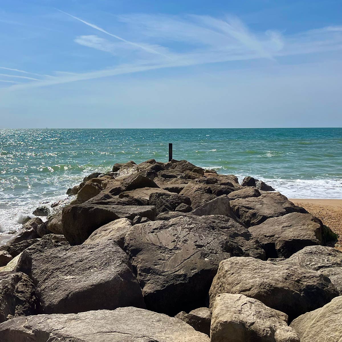 Cat Sitter Southbourne