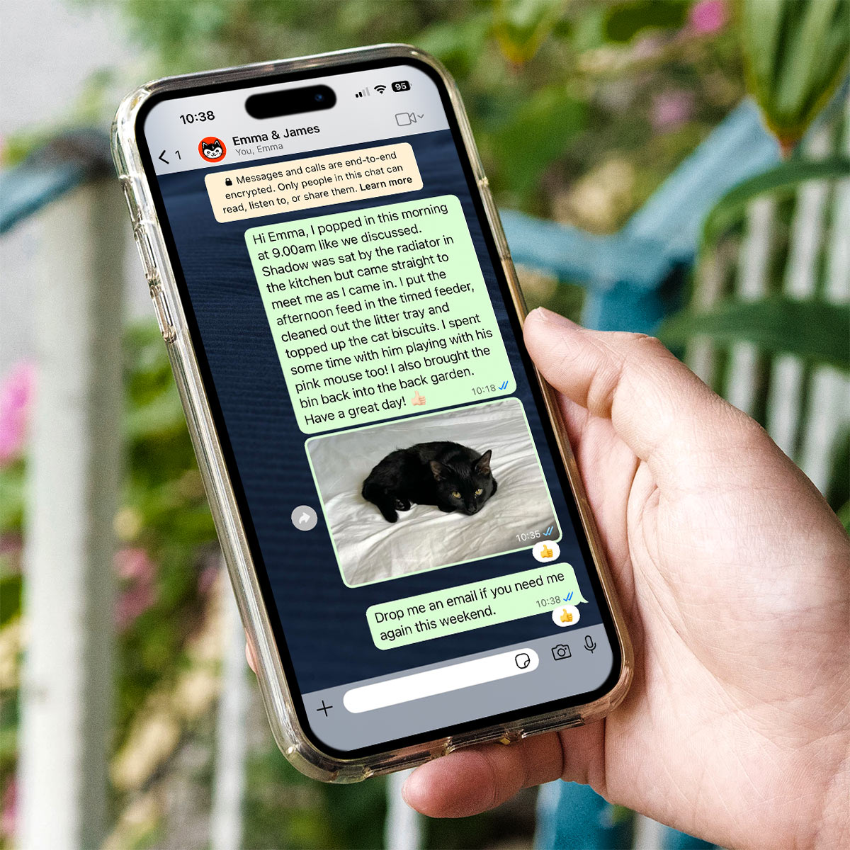 Southbourne Cat Sitter Dorset